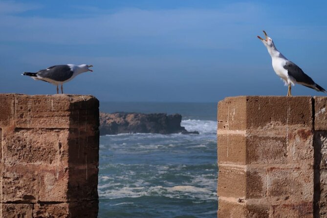 One Day Trip From Marrakech To Essaouira - Medina of Essaouira