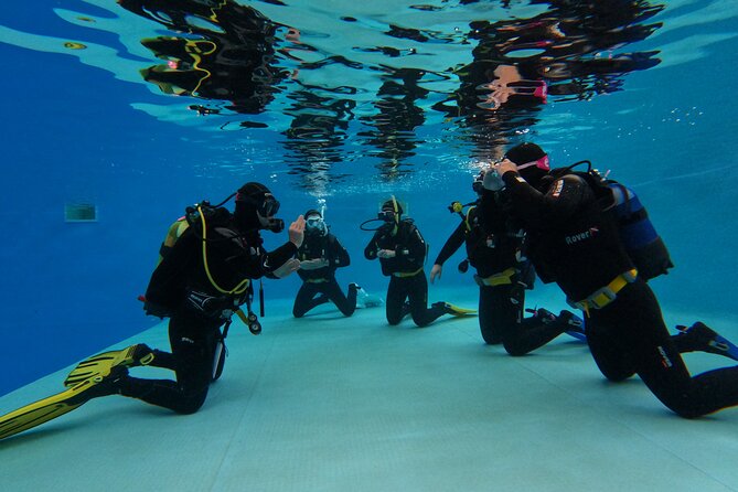 Open Water Diver Course in Arrabida Natural Park (Near Lisbon) - Inclusions and Amenities