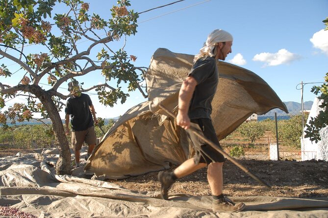 Organic Pistachio Orchard Tour - Tour Provider and Pricing