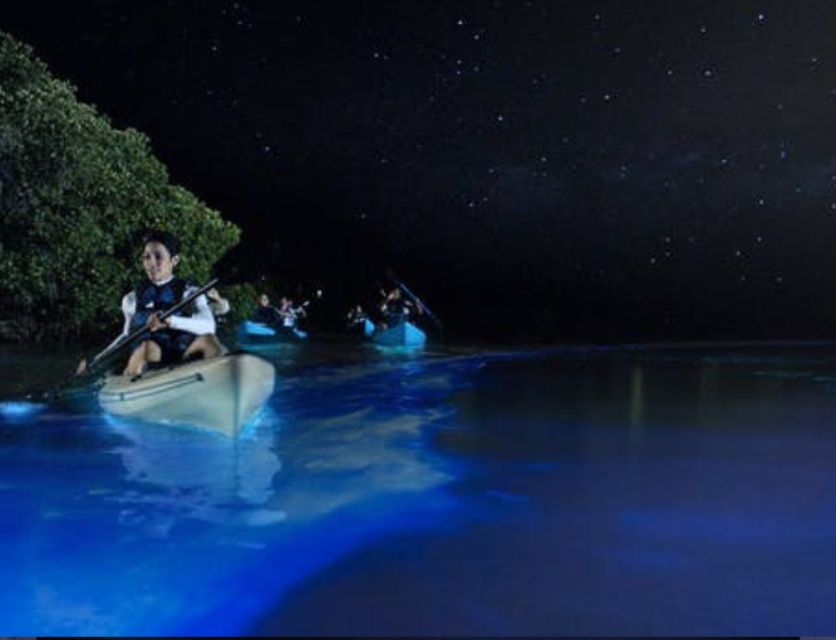 Orlando: Bioluminescence Clear Kayaking or Paddleboarding - Experience Highlights