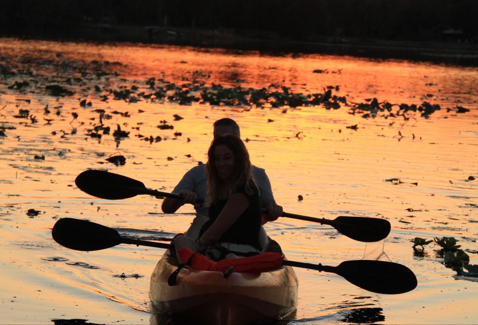 Orlando: Sunset Guided Kayaking Tour - Activity Highlights