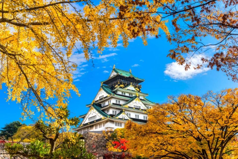 Osaka: 10-Hour Customizable Tour With Private Car - Language Options and Cancellation Policy