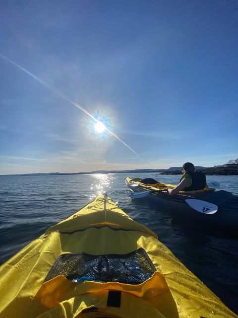 Oslo: All-inclusive Self-guided Kayak Expedition - Kayak Specifications