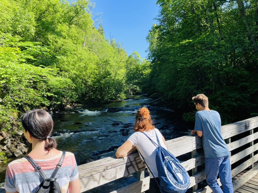 Oslo: Lysaker Wild River Walk - Walking the Lysaker River