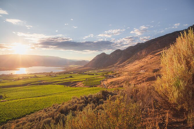 Osoyoos & Oliver Sip Disturber Half Day Wine Tour - Included Features