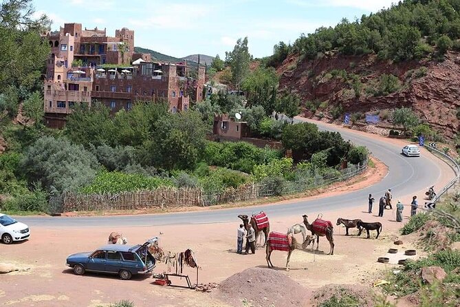 Ourika Day Tour From Marrakech - Pickup and Timing