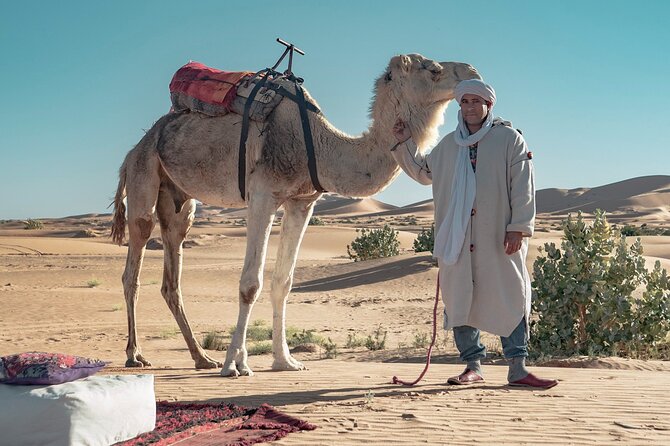 Overnight Camel Trekking in Merzouga - Meeting and Pickup Details