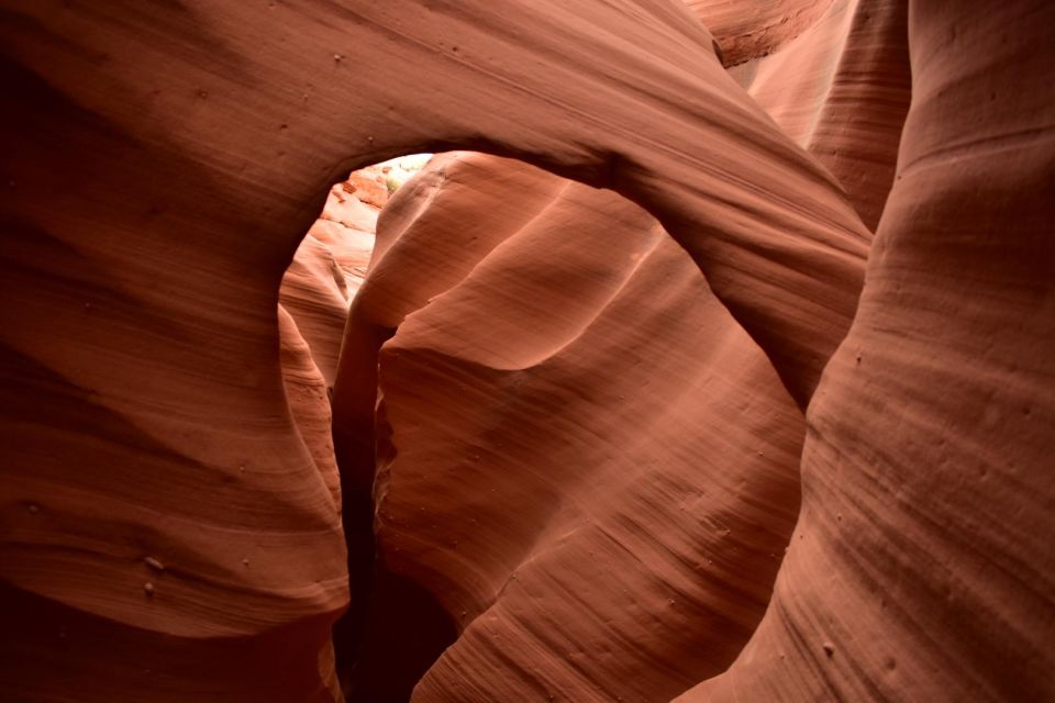 Page: Traditional Navajo Hogan Stay & Antelope Canyon Tour - Tour Highlights