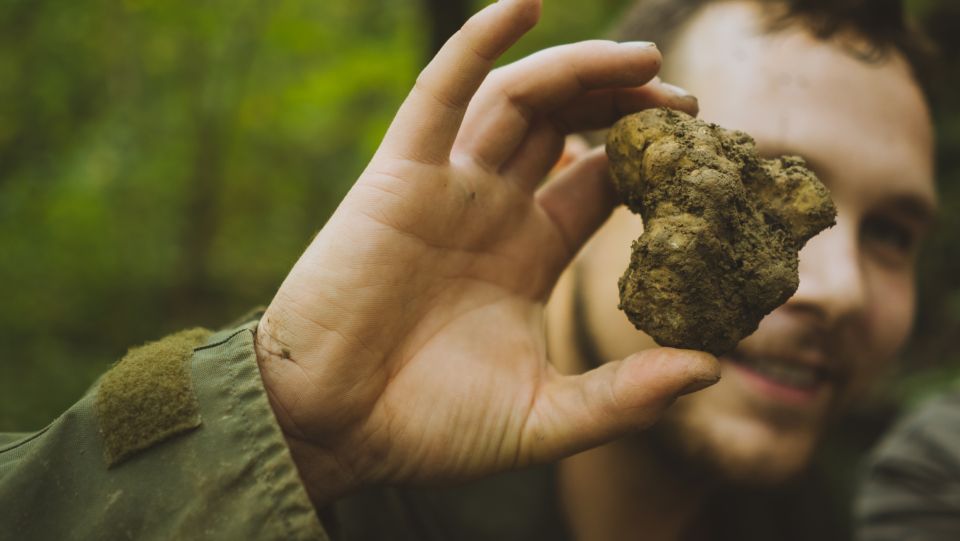 Paladini: Truffle Hunting Tour With 3-Course Tasting Menu - Truffle Hunting Experience