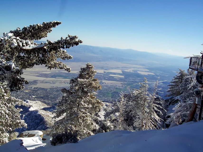 Palm Springs Aerial Tramway - Hiking and Outdoor Activities