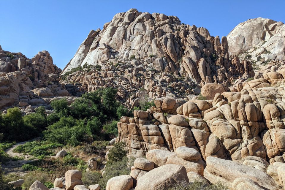 Palm Springs & Joshua Tree: National Park Self-Guided Tours - Tour Highlights and Experience