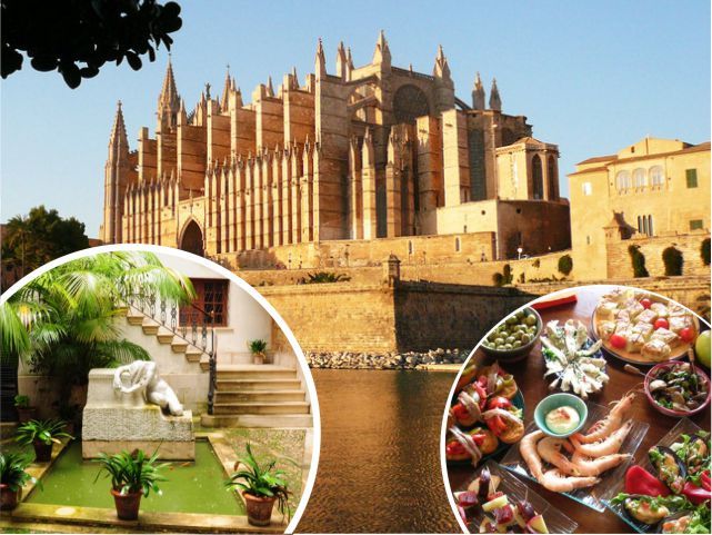 Palma De Mallorca: Guided Tour of the Old Town - Highlights of the Old Town