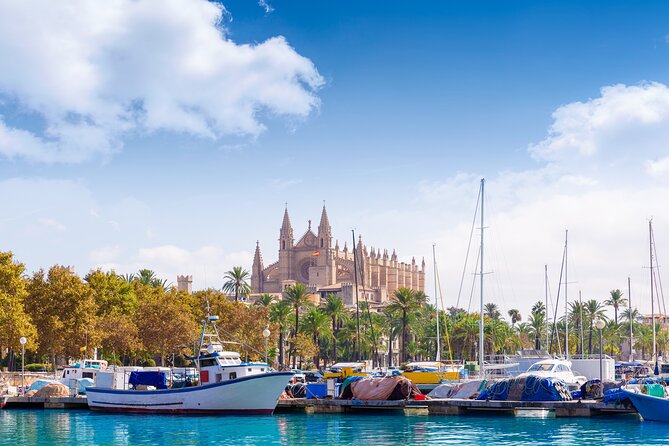 Palma De Mallorca Sightseeing Day Tour - Exclusions