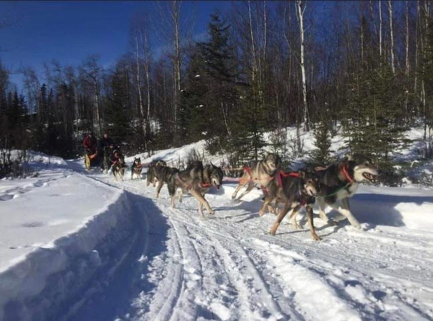 Palmer: Dogs and Glaciers Sledding and Helicopter Tour - Scenic Helicopter Flight