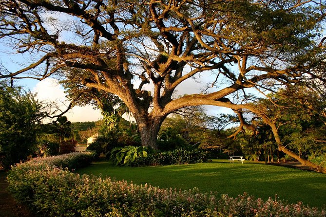 Panoramic Sightseeing Tour of St Kitts - Accessibility and Additional Information