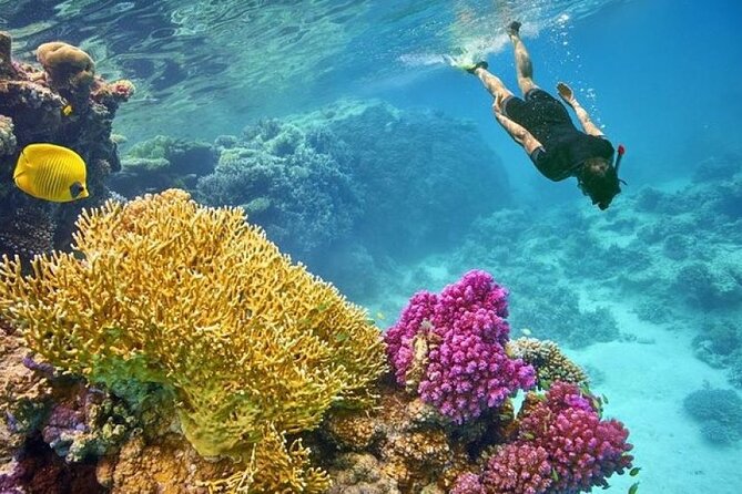 Paradise Island Snorkeling Trip With Water Sports, HurghadaToGo - Pickup and Departure Details