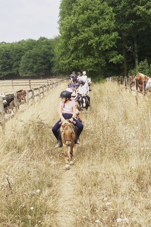 Paris : Horse Riding Camp With English Lessons in Senonches - Accommodation and Facilities