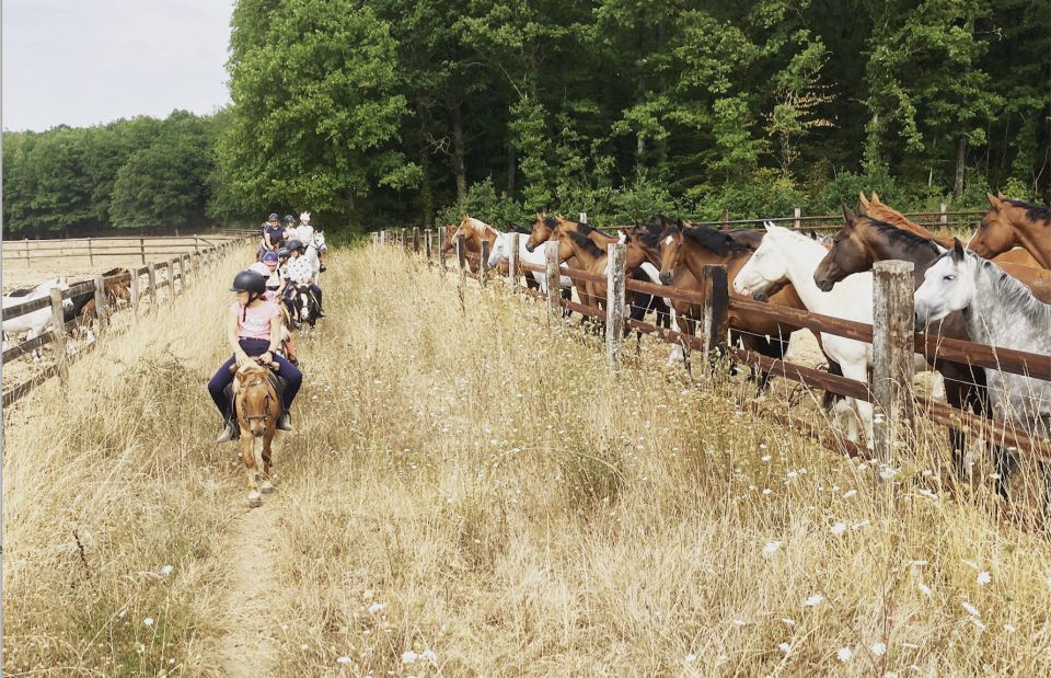 Paris : Horse Riding Camp With English Lessons in Senonches - Horse Riding Activities