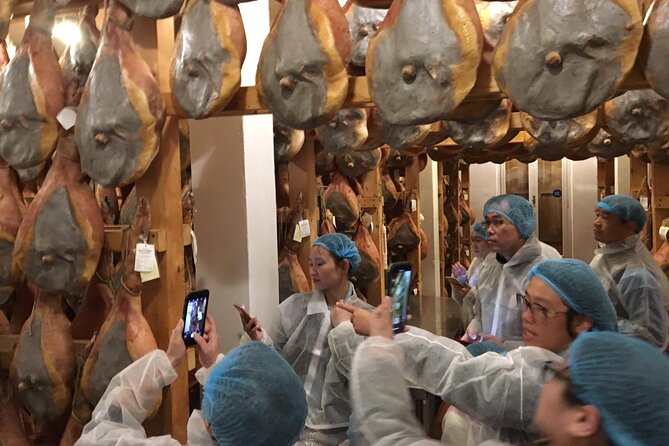 Parmigiano-Reggiano and Parma Ham Small Group Tour - Highlights of the Tour