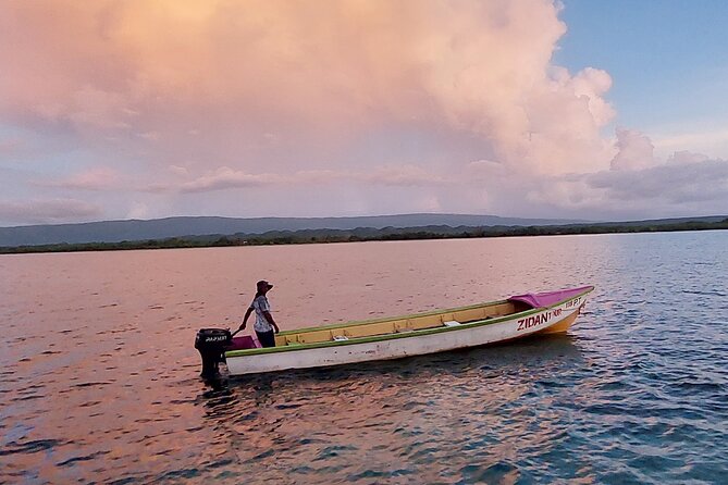 Pelican Bar South Coast Experience, Appleton Rum Tour and YS Falls - Booking Information