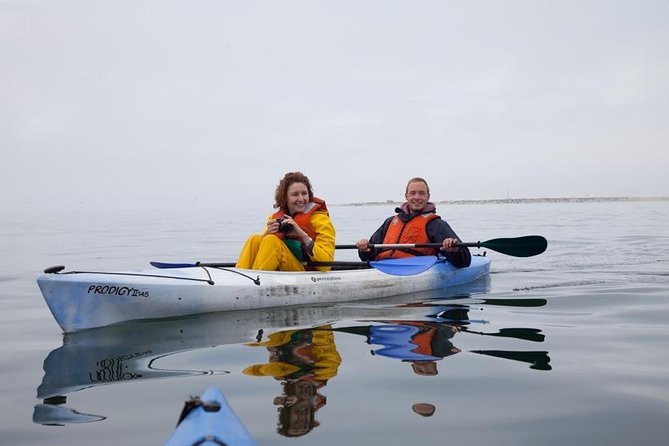 Pelican Point Kayaking Half-Day Tour - What to Expect