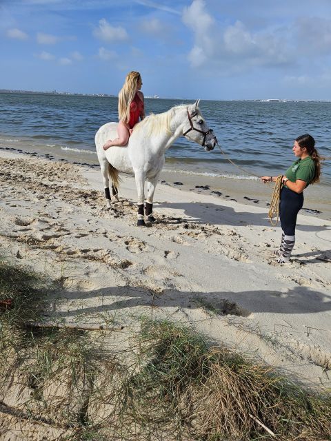 Photo Session With Horses on the Beach or in the Countryside - Horse Selection and Customization