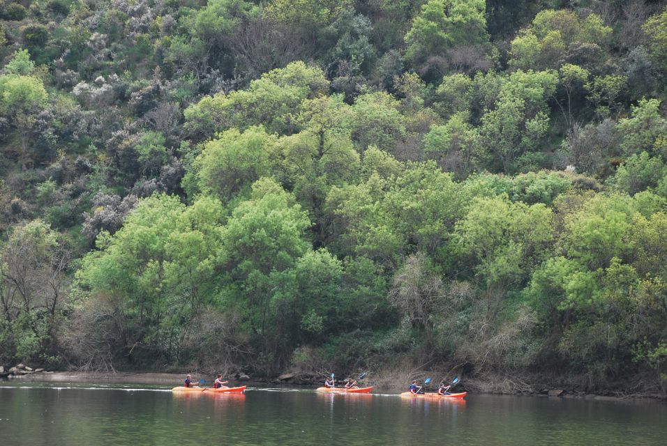 Pinhão: 4 Hour Douro Valley Kayak Rental - Experience Highlights