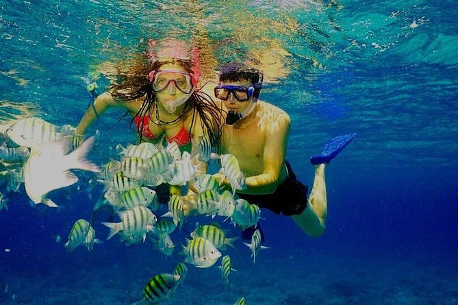 Platinum Power Shore Adventure, Hookah Diving, and Snorkeling - Tour Capacity and Reviews