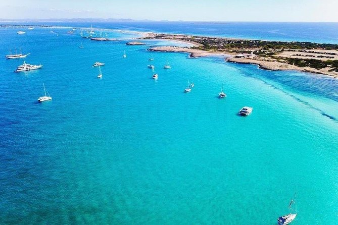 Playa De Ses Illetes Full Day Catamaran Trip - Catamaran Amenities and Features