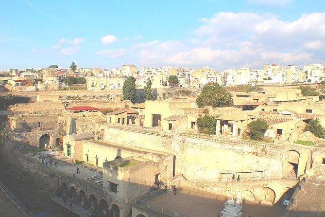 Pompeii and Herculaneum Private Tour With Native Guide and Skip the Line Tickets - Inclusions and Exclusions