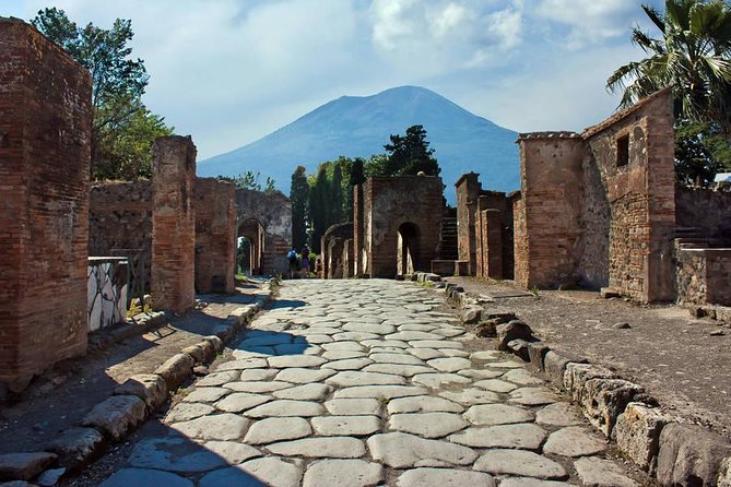 Pompeii Walking Tour With a Licensed Guide - Meeting and Pickup