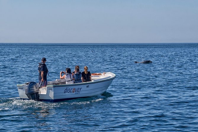 Ponta Da Piedade Boat Tour to Caves and Beaches With Local Guide - Boat Cruise Itinerary