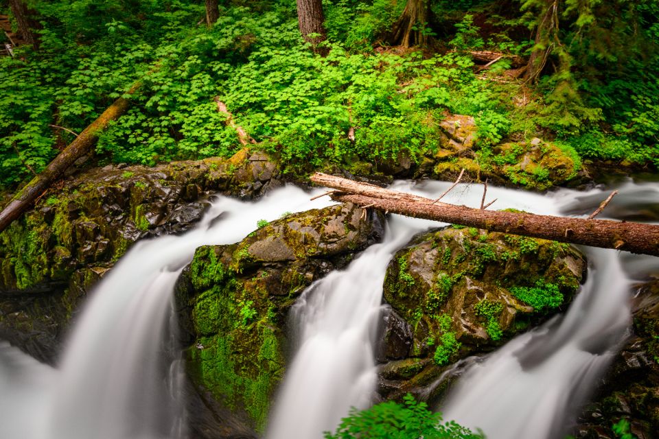 Port Angeles: Olympic National Park Driving Audio Tour - Experience and Itinerary