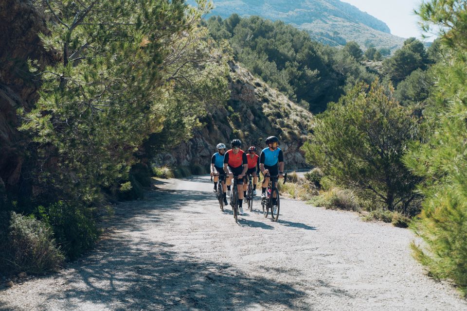 Port of Pollença: Ultimate Bike Rental - Pricing and Packages