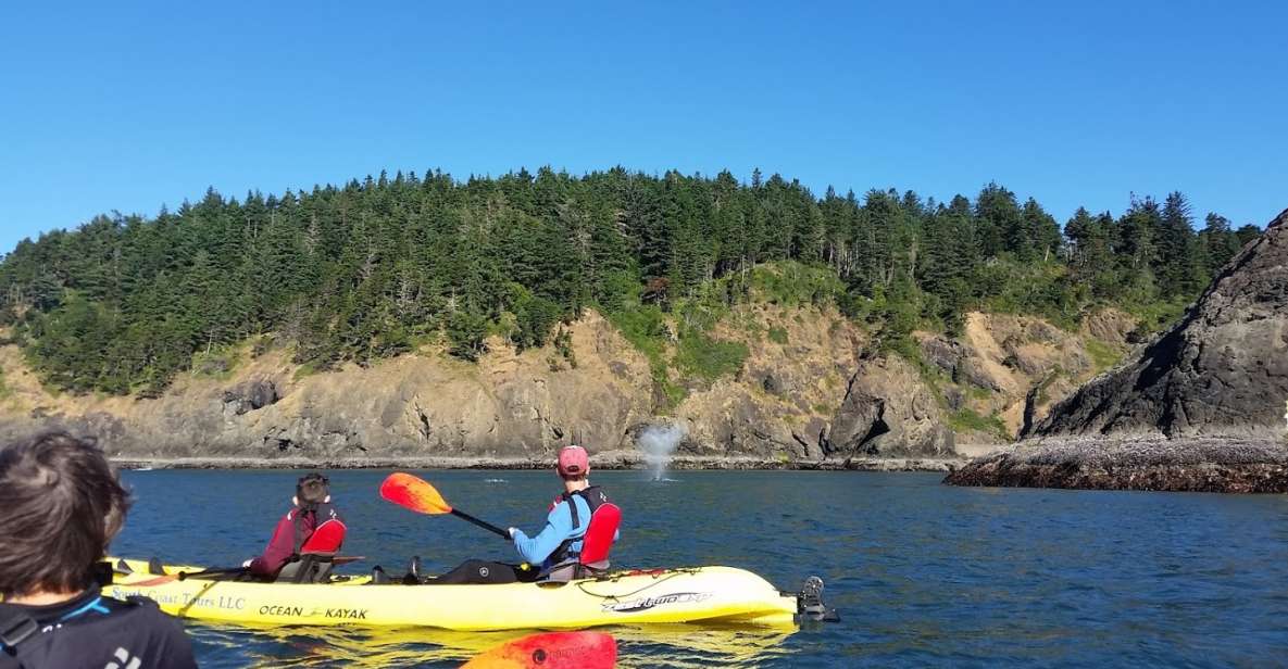 Port Orford: Kayak Tour to Orford Heads With Gear - Experience Highlights