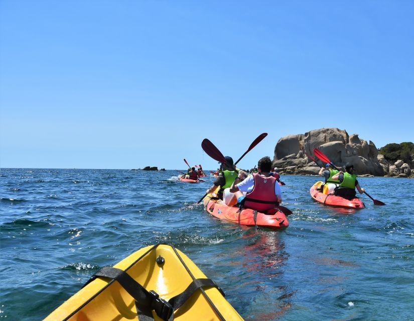 Porticcio: Guided Kayaking Tour - Participant Requirements