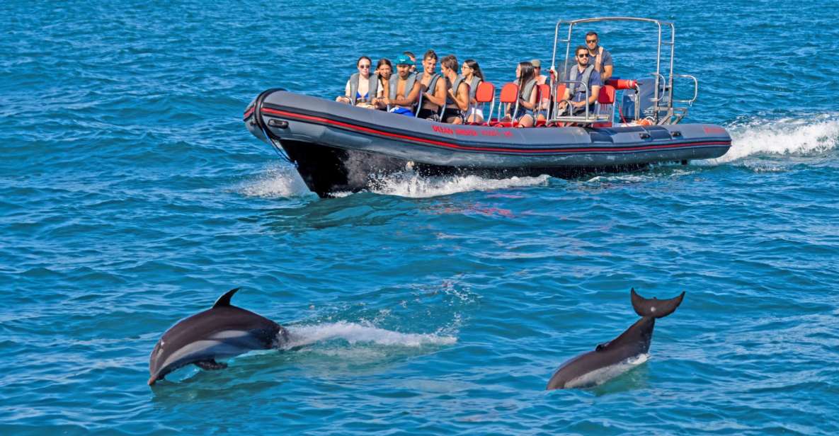 Portimão: Dolphin Watching Tour With Marine Biologist - Activity Highlights