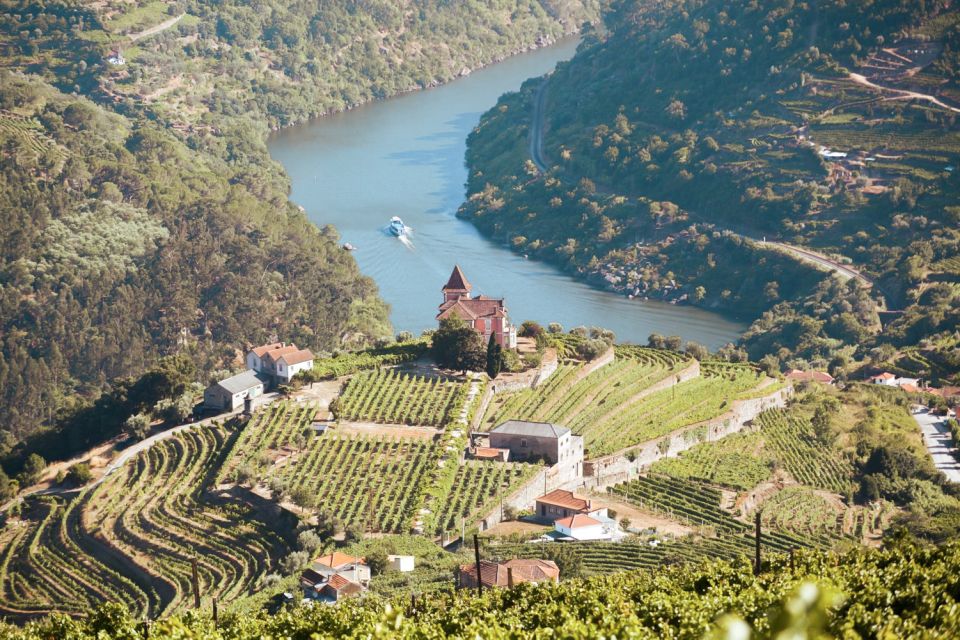 Porto: Douro Valley Tour With Wine Tasting, Cruise and Lunch - Highlights of the Tour