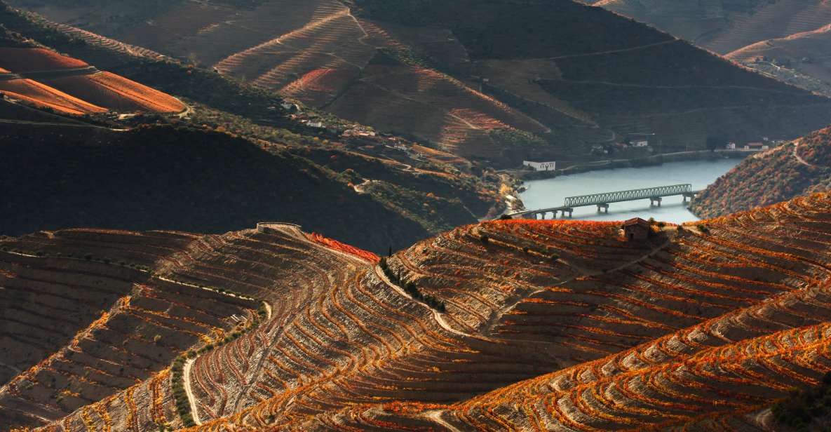 Porto: Douro Valley Trip With Lunch, Winery, and Boat Tour - Languages and Wheelchair Accessibility