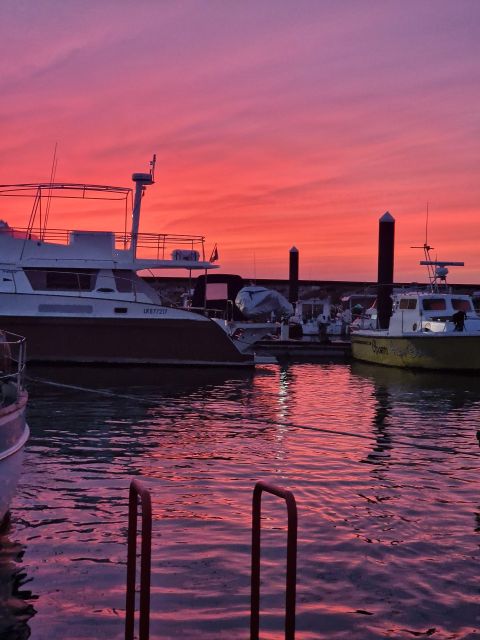 Porto: Guide Boat Tour With Tasting of 4 Port Wines - Highlights of the Tour