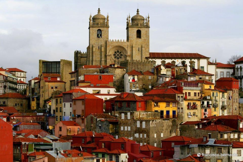 Porto: Private Full-Day City Tour - Highlights of the Tour