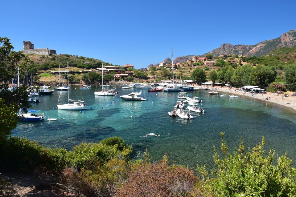 Porto: Scandola Nature Reserve and Creeks of Piana Boat Tour - Group Size and Highlights