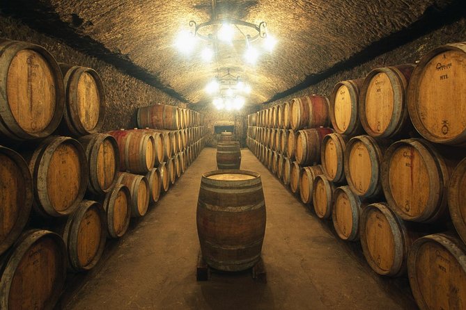 Porto Wine Tour With Tasting and Wine Houses Visit - Wine Tasting and Sampling