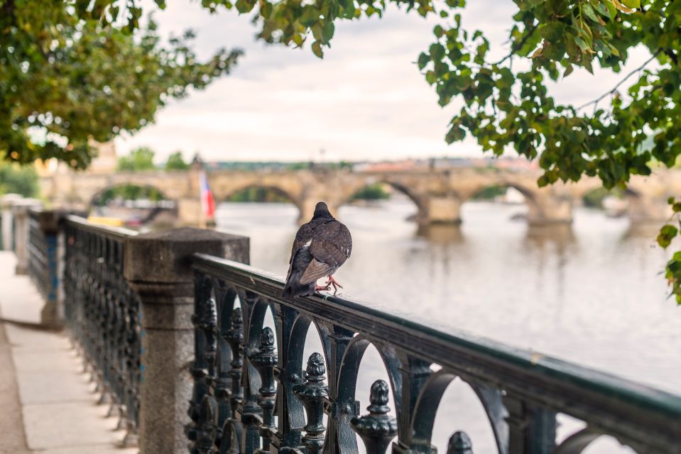 Prague: Iconic Insider Exterior Grand Walking Tour - Tour Highlights