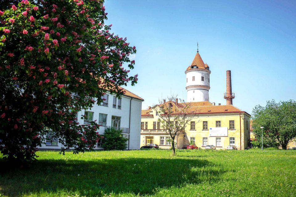 Prague: Psychiatric Hospital and Abandoned Cemetery Tour - Itinerary