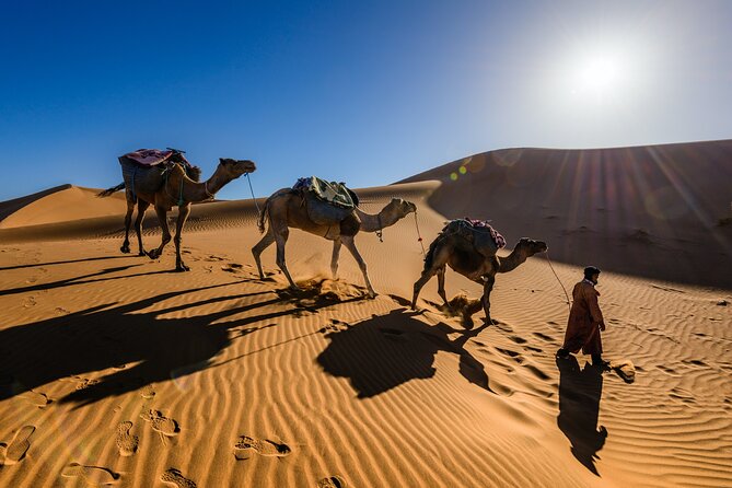 Private 2-Days Desert Tour From Marrakech to Mhamid Dunes Camel (All-Inclusive) - Discovering the Draa Valley