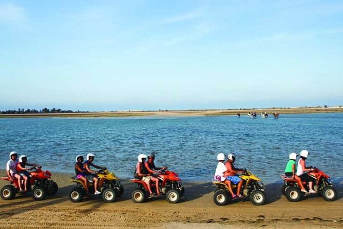 Private 3h00 Quad Ride on the Island of Djerba - Meeting and Pickup