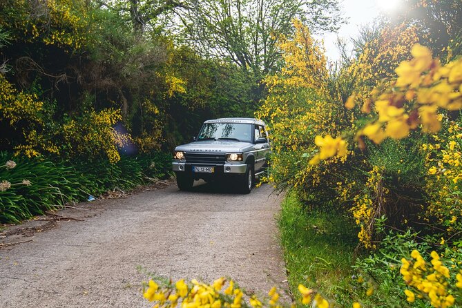 Private 4x4 Jeep Half Day - Picturesque Peaks, Vineyards, Skywalk - Customer Feedback