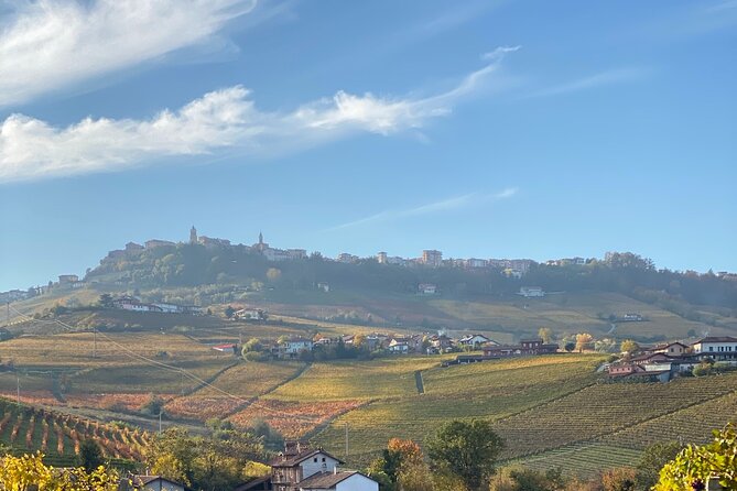 Private Barolo / Barbaresco - Piedmont Wine Tours and Tastings - Inclusions