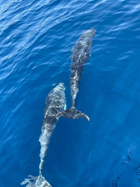 Private Blue Cave Tour-Half Day - Booking and Cancellation